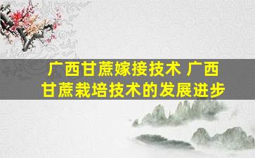 广西甘蔗嫁接技术 广西甘蔗栽培技术的发展进步